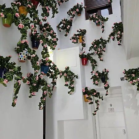 Nueva Cibeles Casa de hóspedes Córdova